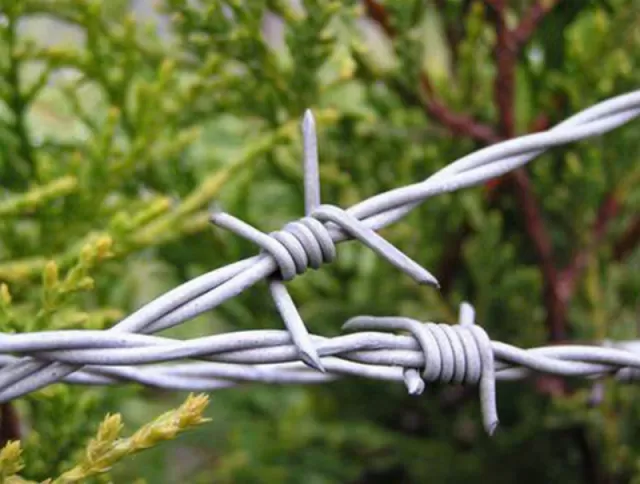 Alambre de púas galvanizado y recubierto de PVC