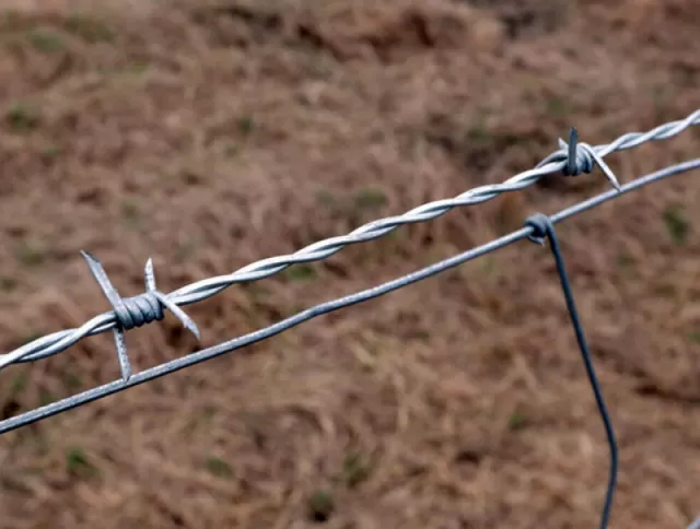 Alambre de púas galvanizado y recubierto de PVC
