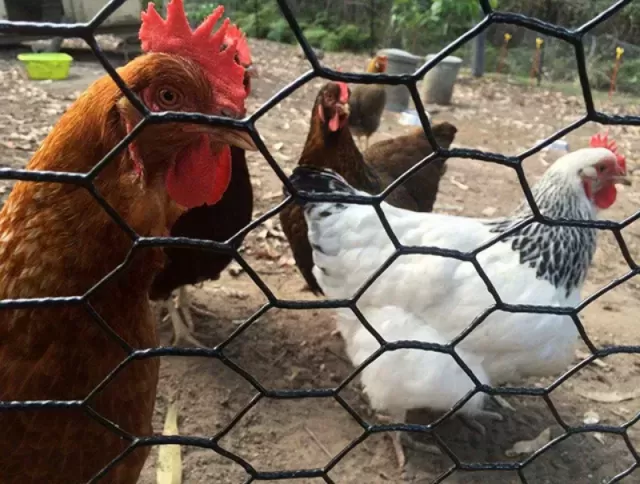 Aplicaciones agrícolas